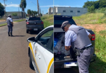 Dupla é presa por contrabando em rodovia de Votuporanga