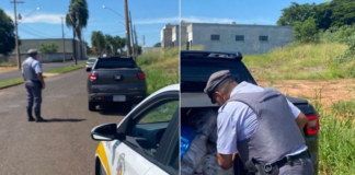Dupla é presa por contrabando em rodovia de Votuporanga