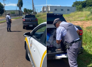 Dupla é presa por contrabando em rodovia de Votuporanga