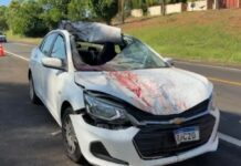 Cavalo na pista provoca acidente entre dois carros e deixa três feridos