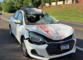 Cavalo na pista provoca acidente entre dois carros e deixa três feridos