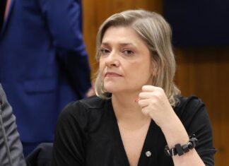 Valorização dos profissionais da educação infantil é tema de audiência pública na Câmara