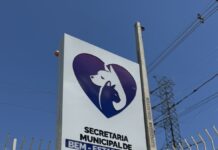 Bem-Estar Animal: inscrições seguem abertas para cadastro de protetores independentes
