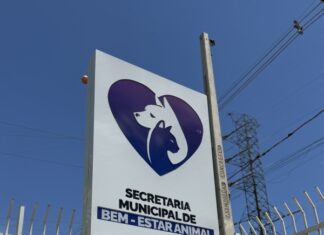 Bem-Estar Animal: inscrições seguem abertas para cadastro de protetores independentes