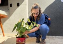 Mutirão contra a dengue ocorre neste sábado no bairro Vila Paes