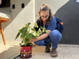 Mutirão contra a dengue ocorre neste sábado no bairro Vila Paes