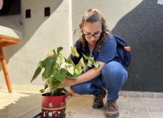 Mutirão contra a dengue ocorre neste sábado no bairro Vila Paes