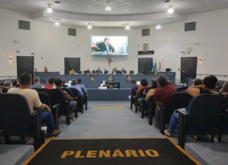 Câmara pauta veto a agendamento digital de consultas e outros quatro projetos