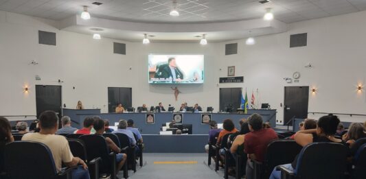 Câmara pauta veto a agendamento digital de consultas e outros quatro projetos