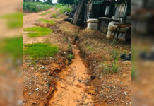 “Cadê o asfalto da Vila Carvalho?”, questiona Débora Romani