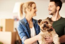 Governo sanciona lei que institui guarda compartilhada de pets em caso de divórcio