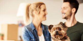 Governo sanciona lei que institui guarda compartilhada de pets em caso de divórcio