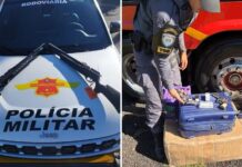 Polícia Rodoviária apreende armas e anabolizantes durante operação na SP-310 em Rio Preto