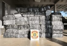 PF apreende mais de 1 tonelada de maconha escondida em carga de mandioca