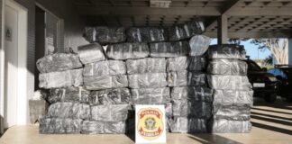 PF apreende mais de 1 tonelada de maconha escondida em carga de mandioca