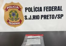 PF prende idoso com material de abuso sexual infantil em José Bonifácio