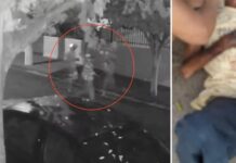 Idoso é espancado em assalto após ladrões invadirem casa e passa horas desacordado em calçada