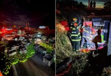 Caminhão carregado de laranja tomba e interdita Rodovia Washington Luís em Mirassol