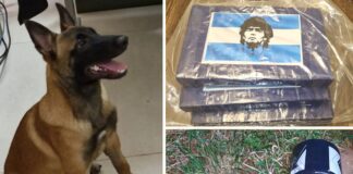 DISE apreende 3 kg de cocaína enterrada em canavial em Votuporanga