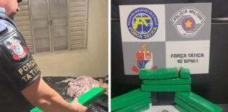 Polícia Militar prende quarteto com 5,5 kg de maconha em Votuporanga