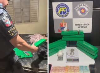 Polícia Militar prende quarteto com 5,5 kg de maconha em Votuporanga