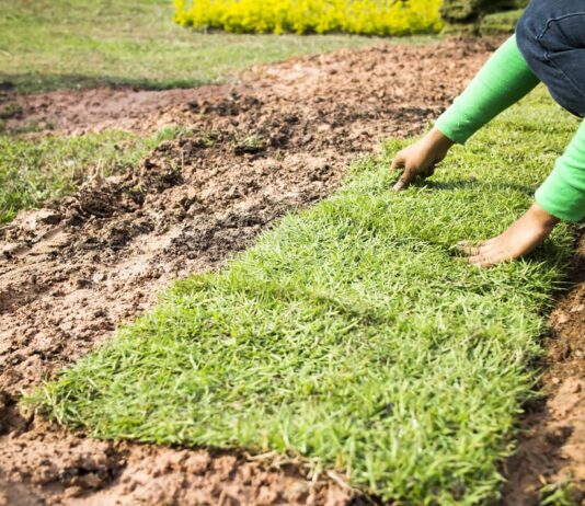 Prefeitura de Votuporanga pode gastar mais de R$ 309 mil para comprar grama