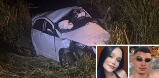 Jovens morrem ao tentar desviar de capivara na Rodovia Euclides da Cunha