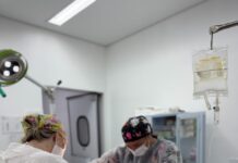Secretaria de Bem-Estar Animal registra 1.109 faltas em castrações agendadas em seis meses