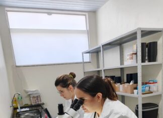Votuporanga inicia implantação de ovitrampas para monitoramento do mosquito da Dengue