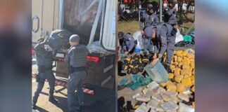 Polícia apreende quase meia tonelada de drogas em carga de carne em caminhão frigorífico em Rio Preto