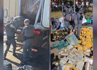 Polícia apreende quase meia tonelada de drogas em carga de carne em caminhão frigorífico em Rio Preto