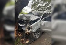 Motorista morre após caminhonete bater contra árvore; revólver e munição deflagrada foram encontrados no veículo
