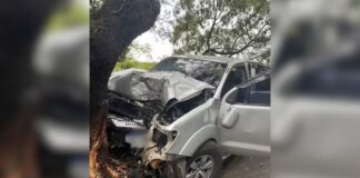 Motorista morre após caminhonete bater contra árvore; revólver e munição deflagrada foram encontrados no veículo