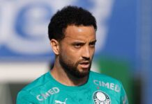 Trio inicia trabalhos no Palmeiras antes da data de reapresentação