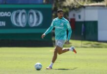 Palmeiras indica interesse e buscará renovação com Murilo durante pausa para a Copa