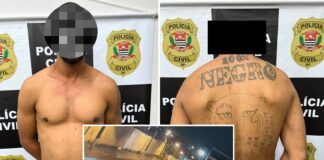 Polícia Civil prende motorista que fugiu após atropelamento fatal em Fernandópolis