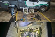 Polícia Ambiental flagra pesca ilegal com uso de iluminação artificial em Mira Estrela