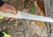 Investigador de folga impede ataque e salva mulher em Rio Preto