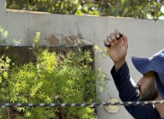 Mutirão reforça combate à Dengue no bairro Vila América neste sábado