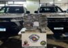 Força Tática apreende 25 kg de maconha em Votuporanga