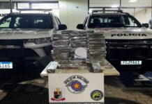 Força Tática apreende 25 kg de maconha em Votuporanga