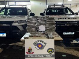 Força Tática apreende 25 kg de maconha em Votuporanga