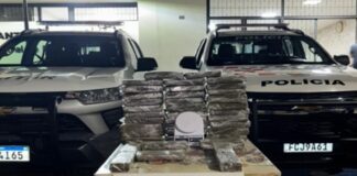Força Tática apreende 25 kg de maconha em Votuporanga