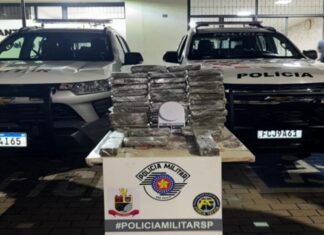 Força Tática apreende 25 kg de maconha em Votuporanga