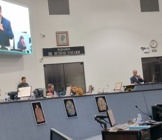 Câmara pauta 10 projetos na última sessão antes do recesso