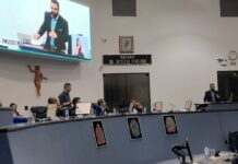 Vereadores derrubam veto à transparência de alvarás e aprovam pacote de proteção ambiental