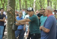 Hevea Day debate os novos caminhos da borracha natural no Noroeste Paulista