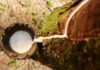 Certificação abre novos caminhos para a borracha natural brasileira