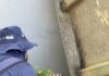 Secretaria da Saúde realiza mutirão de combate à Dengue no bairro Vila América