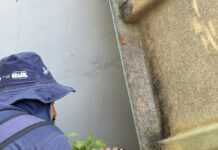 Secretaria da Saúde realiza mutirão de combate à Dengue no bairro Vila América